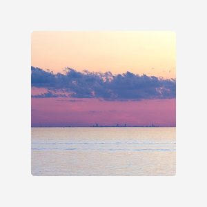 Chandler Parking Credit - $100